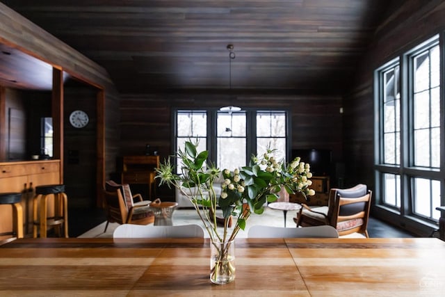 890 Bald Mountain Rd, Austerlitz, NY 12017 - dining space with wood walls, wooden ceiling, and vaulted ceiling