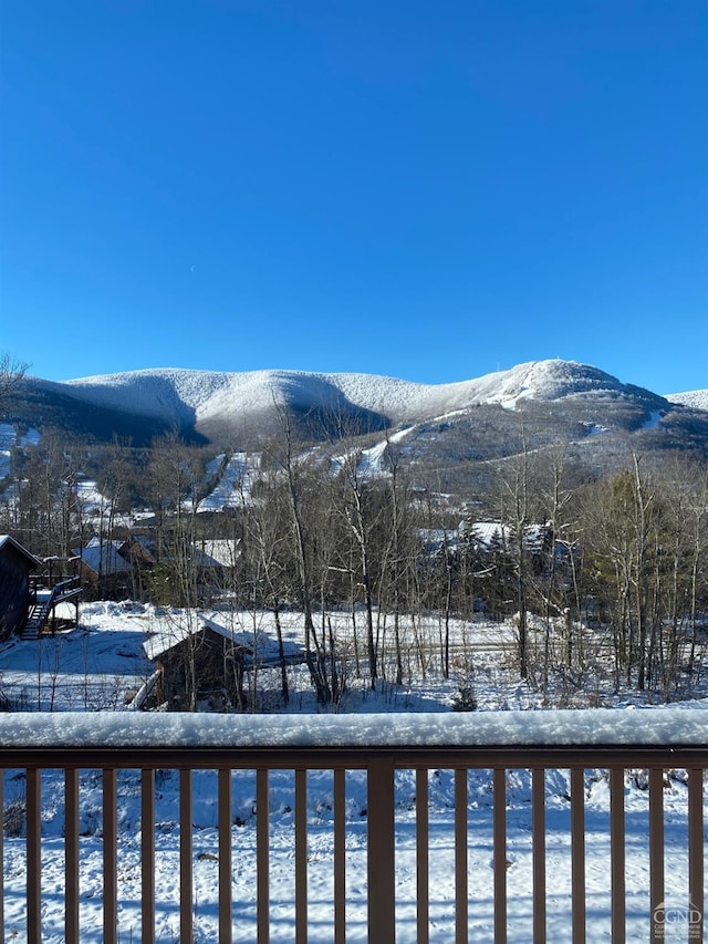 234 Botti Dr, Hunter, NY 12442 - view of mountain backdrop