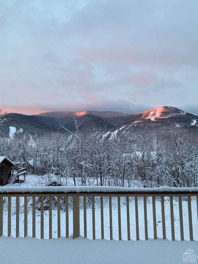 234 Botti Dr, Hunter, NY 12442 - view of mountain backdrop