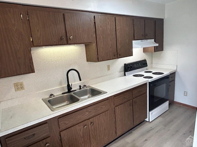 kitchen featuring range with electric stovetop, a sink, ventilation hood, and light countertops