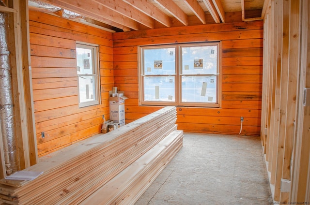 interior space featuring wooden walls and a healthy amount of sunlight