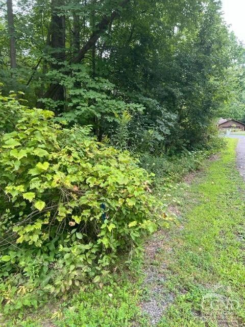 15 Ambassador Ct, Athens, NY 12015