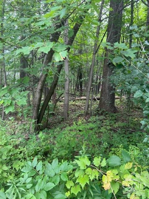 15 Ambassador Ct, Athens, NY 12015