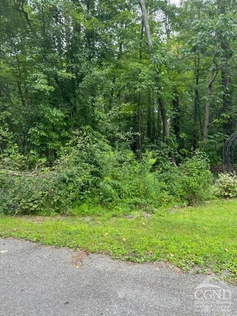 15 Ambassador Ct, Athens, NY 12015