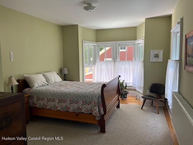 9 Jones Ave, Chatham, NY 12037 - photo 17