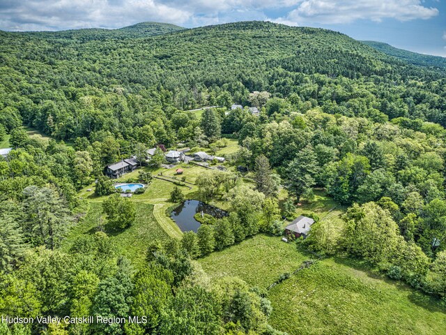 0000 Wittenberg Rd, Mount Tremper, NY 12457 - photo 25