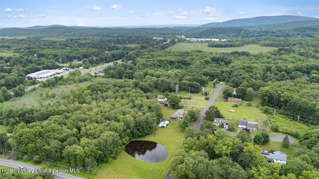 11 Brouck Ferris Blvd, New Paltz, NY 12561 - photo 31