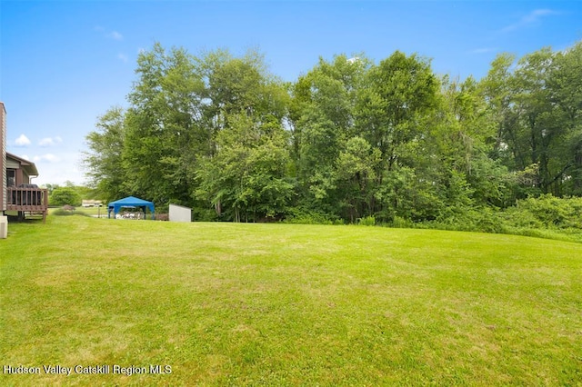 11 Brouck Ferris Blvd, New Paltz, NY 12561 - photo 34