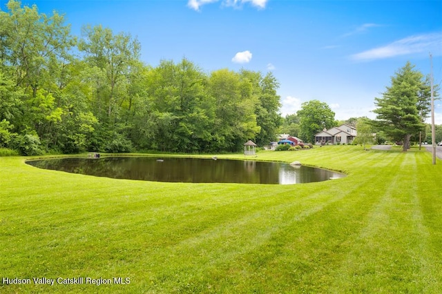 11 Brouck Ferris Blvd, New Paltz, NY 12561 - photo 38
