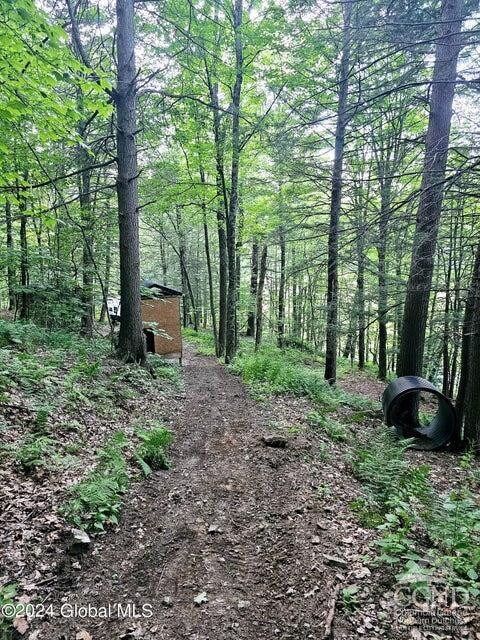 882 Stone Store Rd, Middleburgh, NY 12122 - photo 19