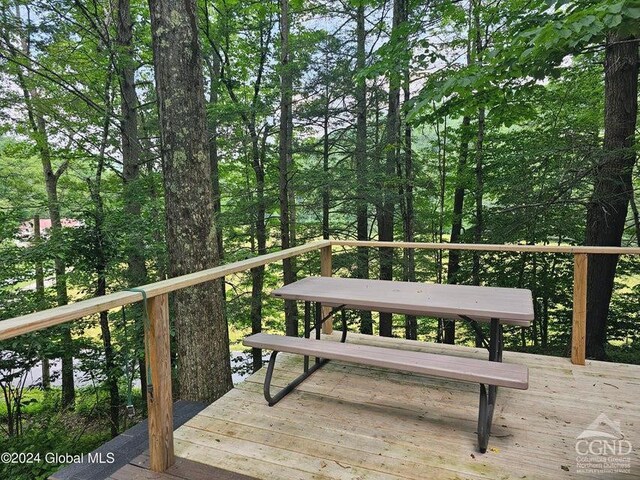 882 Stone Store Rd, Middleburgh, NY 12122 - photo 9