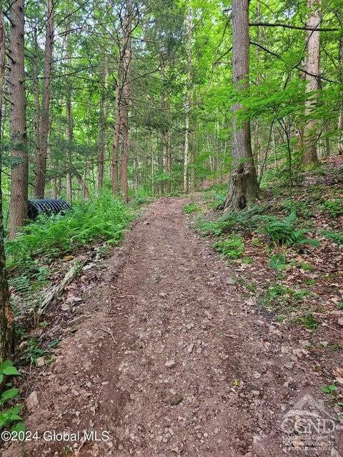 882 Stone Store Rd, Middleburgh, NY 12122 - photo 16