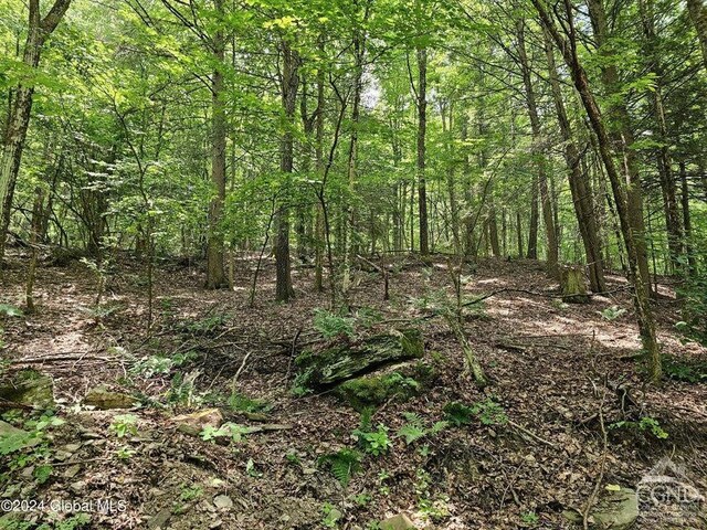 882 Stone Store Rd, Middleburgh, NY 12122 - photo 13