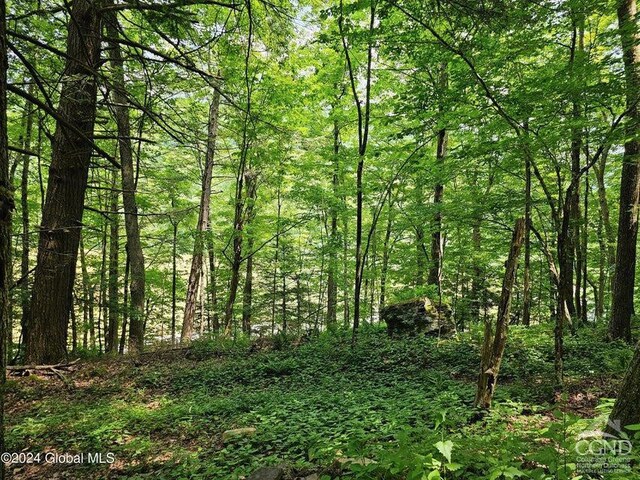 882 Stone Store Rd, Middleburgh, NY 12122 - photo 14