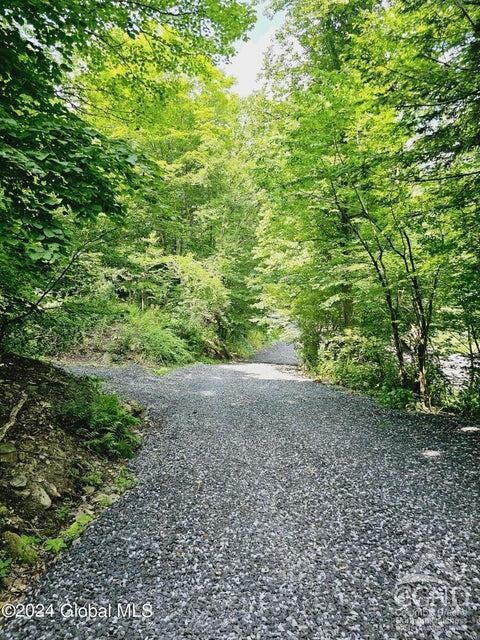 882 Stone Store Rd, Middleburgh, NY 12122 - photo 25