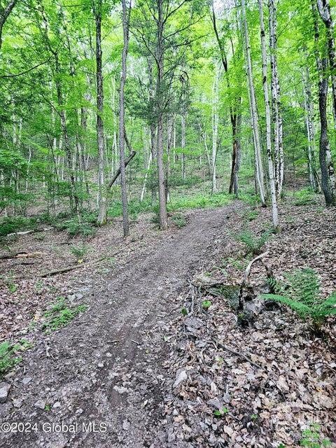 882 Stone Store Rd, Middleburgh, NY 12122 - photo 17