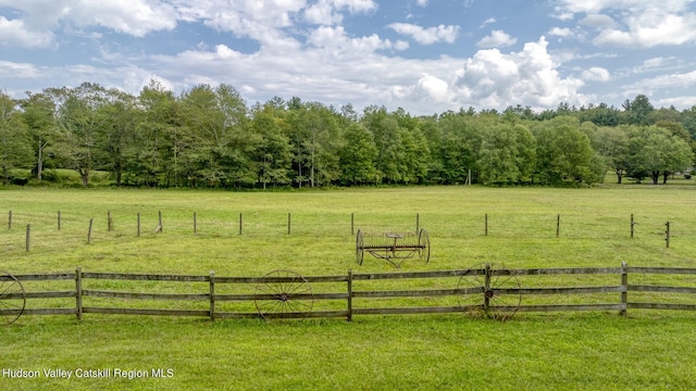 view of yard with a rural view