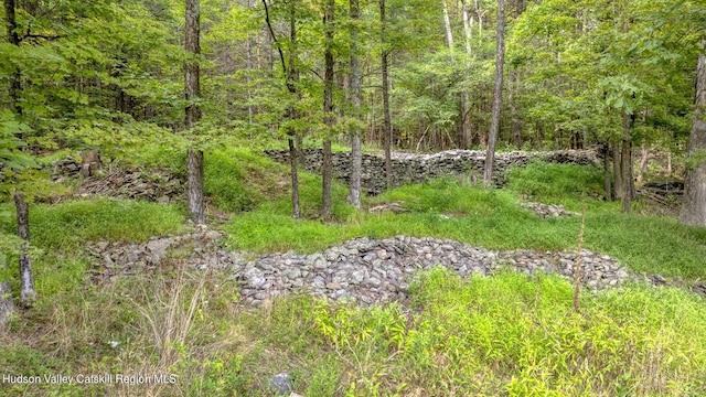 view of local wilderness