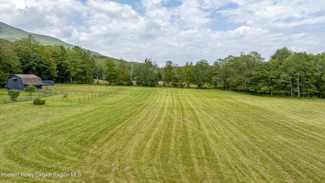 view of yard with a mountain view and a rural view