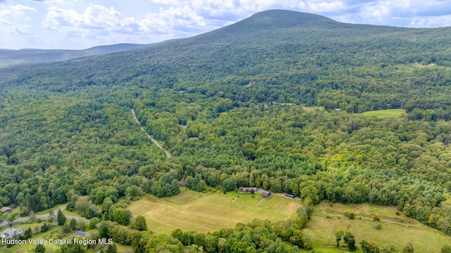 aerial view featuring a mountain view