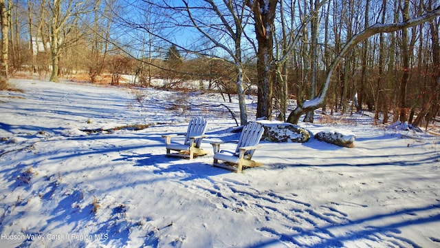 view of yard covered in snow