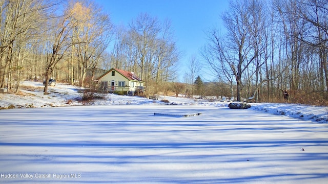 view of yard covered in snow