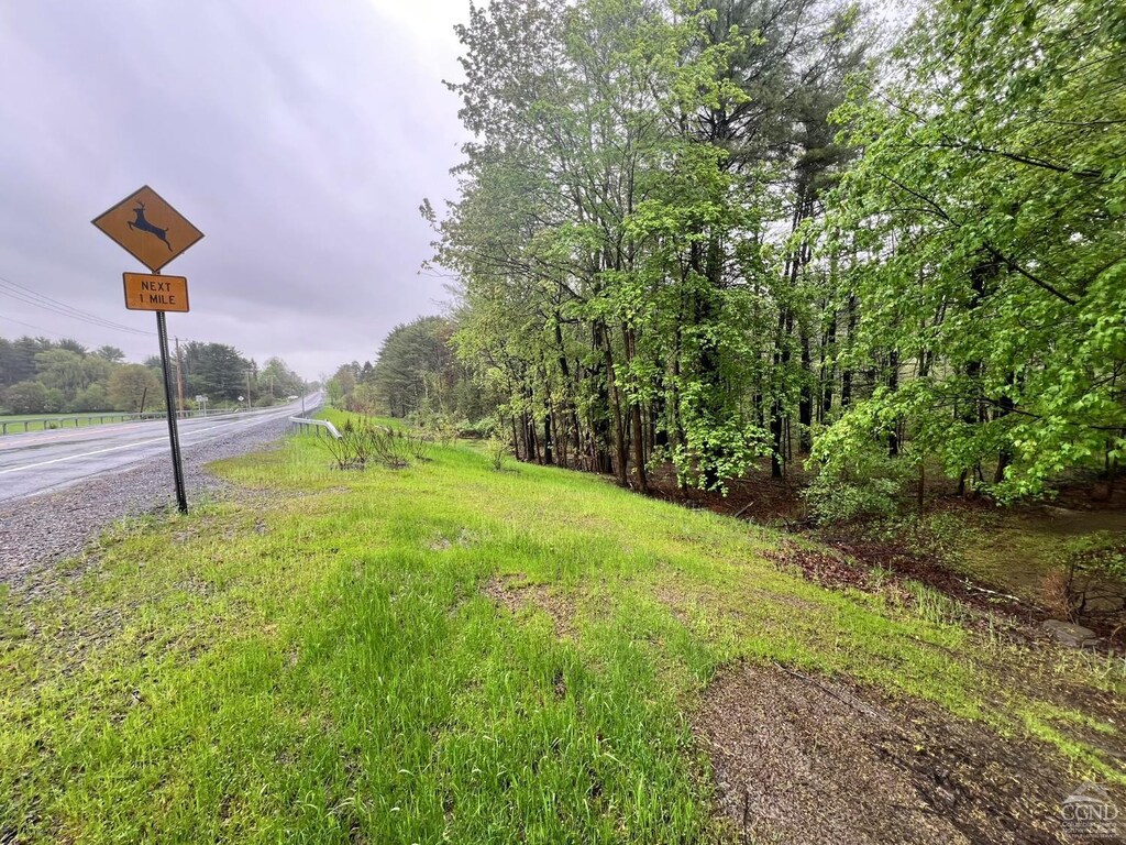 0 Rte 81, Coxsackie, NY 12051 - photo 1