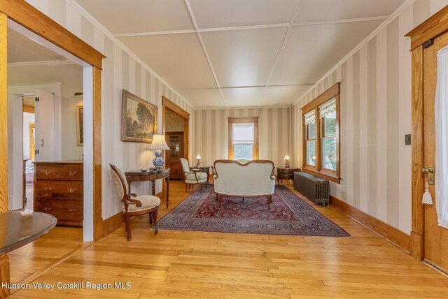 280 Pitcher Ln, Red Hook, NY 12571 - living area featuring radiator, light wood-style floors, crown molding, and wallpapered walls