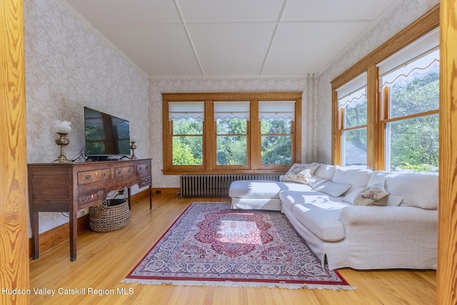 280 Pitcher Ln, Red Hook, NY 12571 - living room featuring radiator, wallpapered walls, healthy amount of natural light, and wood finished floors