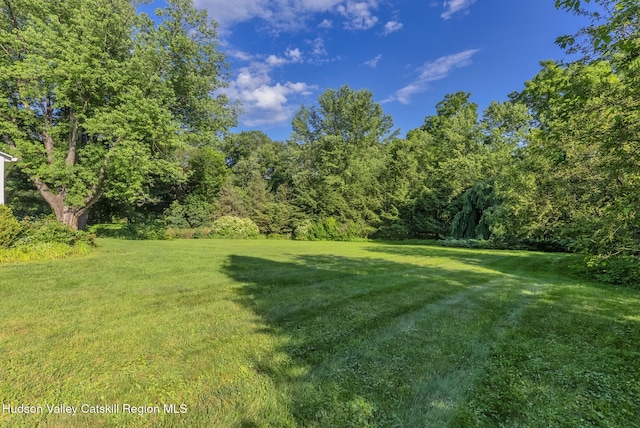280 Pitcher Ln, Red Hook, NY 12571 - view of grassy yard with a view of trees