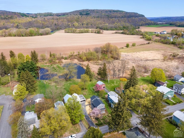 143 Grand St, Schoharie, NY 12157 - view of rural area with a nearby body of water