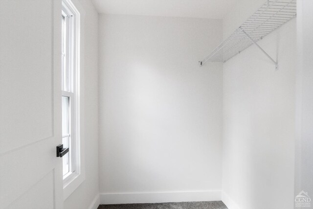143 Grand St, Schoharie, NY 12157 - spacious closet with carpet flooring