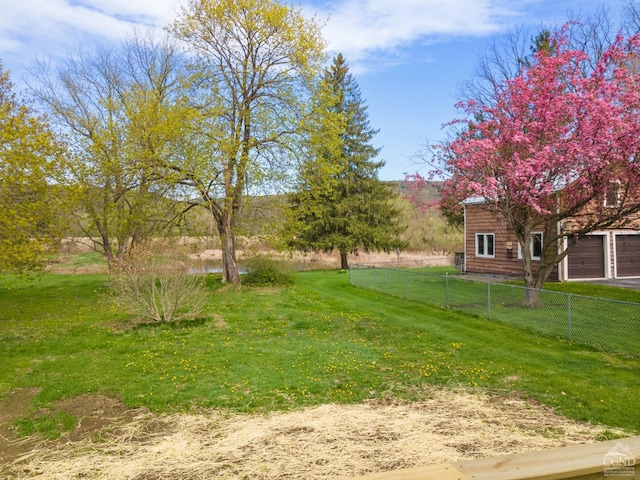 143 Grand St, Schoharie, NY 12157 - view of yard