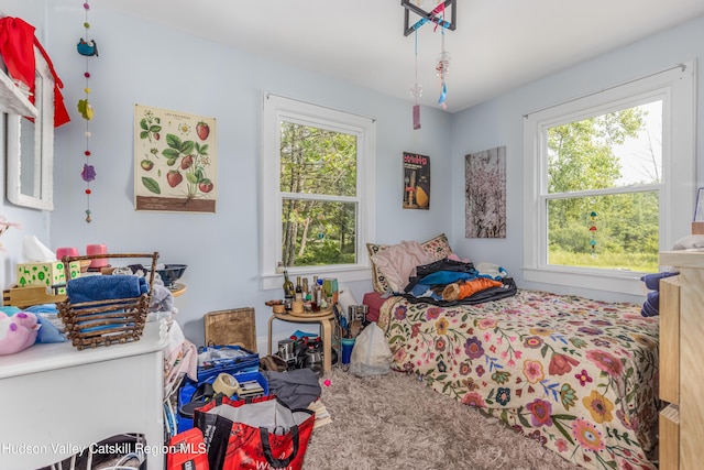 100-104 Bone Hollow Rd, Accord, NY 12404 - photo 9