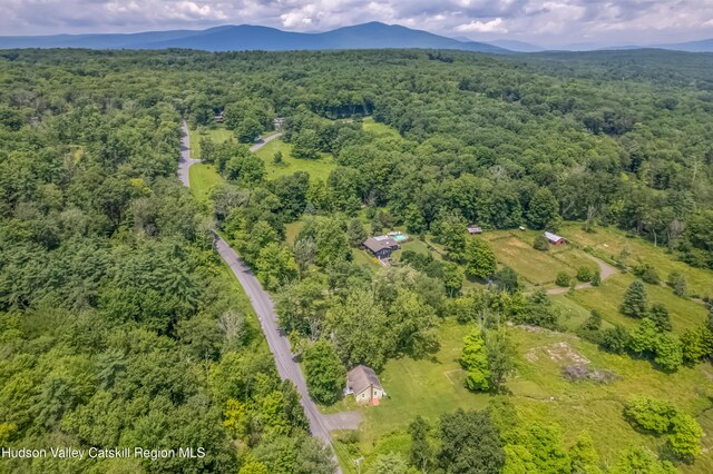 100-104 Bone Hollow Rd, Accord, NY 12404 - photo 43