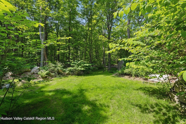 1143 Sawkill Rd, Kingston, NY 12401 - photo 49