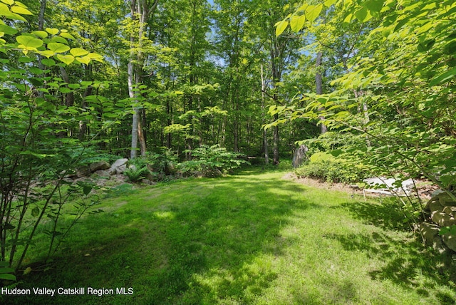 1143 Sawkill Rd, Kingston, NY 12401 - photo 45