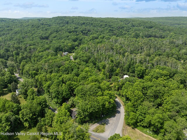 1143 Sawkill Rd, Kingston, NY 12401 - photo 50