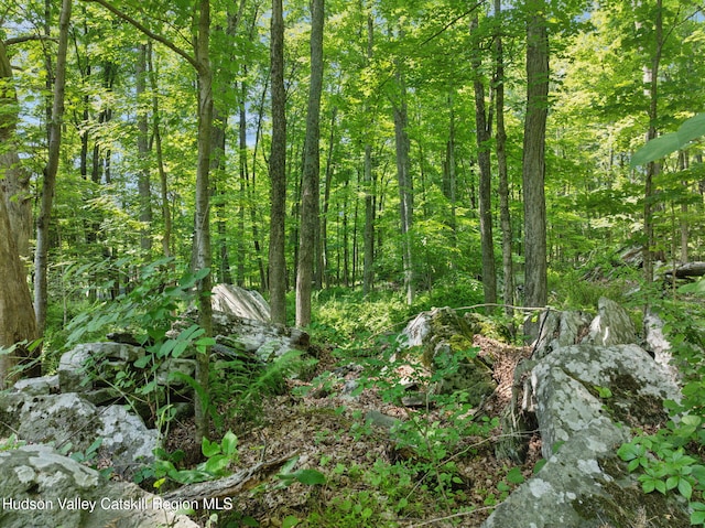1143 Sawkill Rd, Kingston, NY 12401 - photo 43