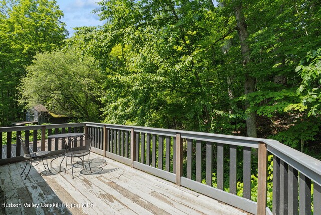 1143 Sawkill Rd, Kingston, NY 12401 - photo 33