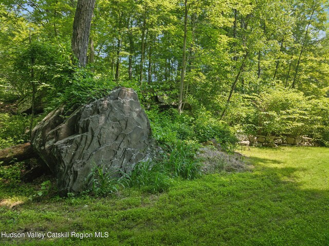 1143 Sawkill Rd, Kingston, NY 12401 - photo 42