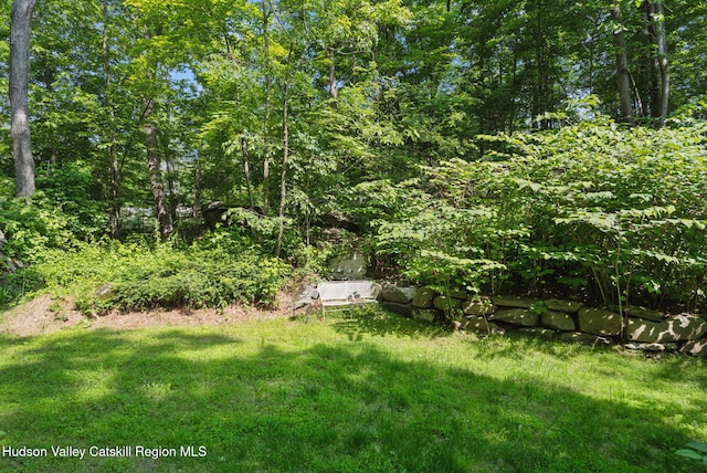 1143 Sawkill Rd, Kingston, NY 12401 - photo 46