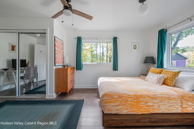 bedroom featuring multiple windows, dark wood-type flooring, a closet, and ceiling fan