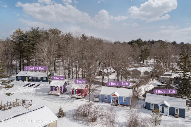 view of snowy aerial view