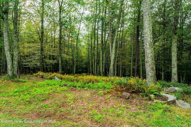 view of local wilderness