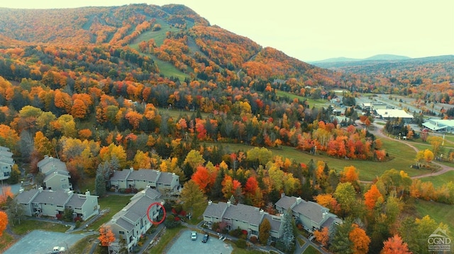 75 Highlands Dr Unit T-4, Hunter, NY 12442 - aerial perspective of suburban area with a mountain backdrop and a heavily wooded area