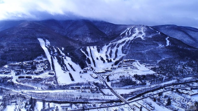 75 Highlands Dr Unit T-4, Hunter, NY 12442 - view of mountain background