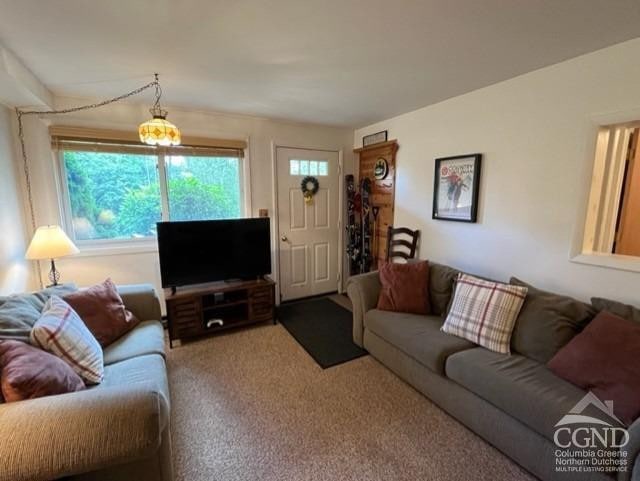 75 Highlands Dr Unit T-4, Hunter, NY 12442 - view of carpeted living room