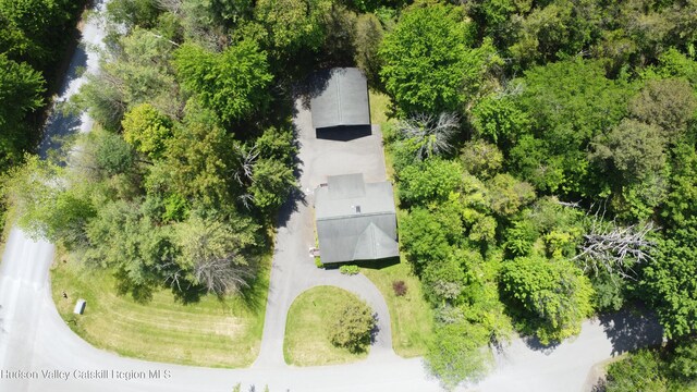 29 Fallen Tree Ln, Athens, NY 12015 - aerial view