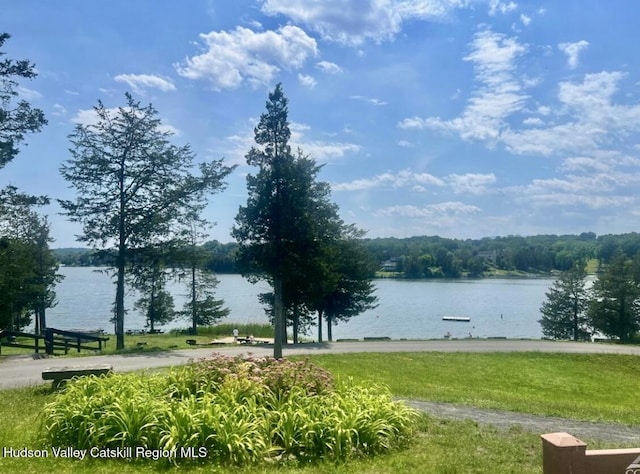 29 Fallen Tree Ln, Athens, NY 12015 - water view